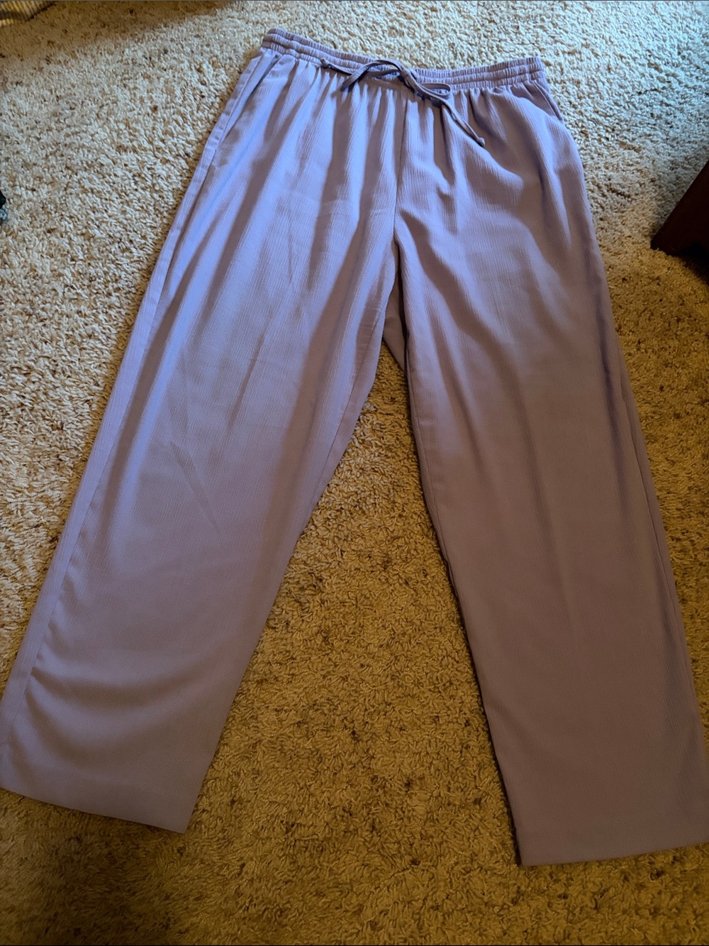 Alfred Dunner Petite Lavender Elastic Waist Pull-On Pants Size 16P